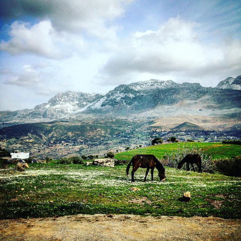 Dar Jiblia Villa Chefchaouen Ngoại thất bức ảnh